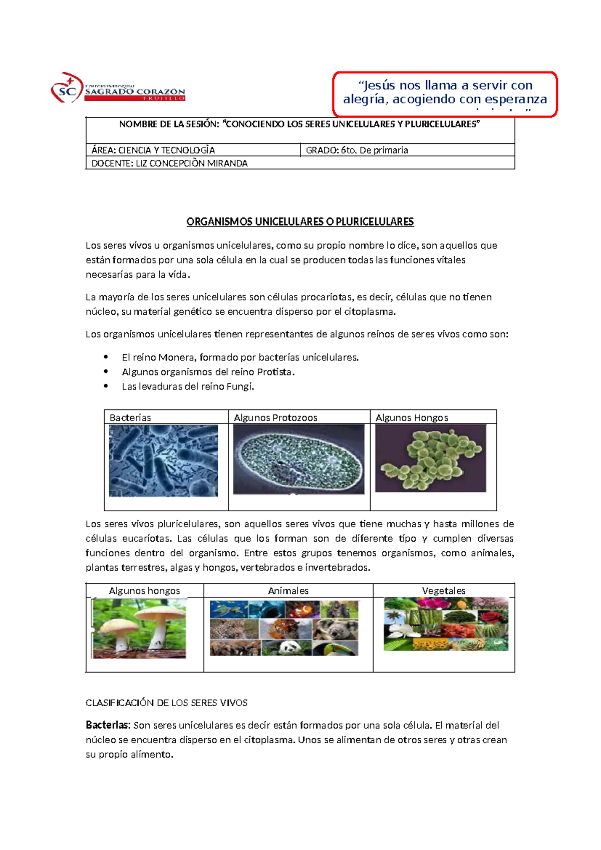 Seres Unicelulares y Pluricelulares: Ciencia y Tecnología 6to Grado -  Studocu