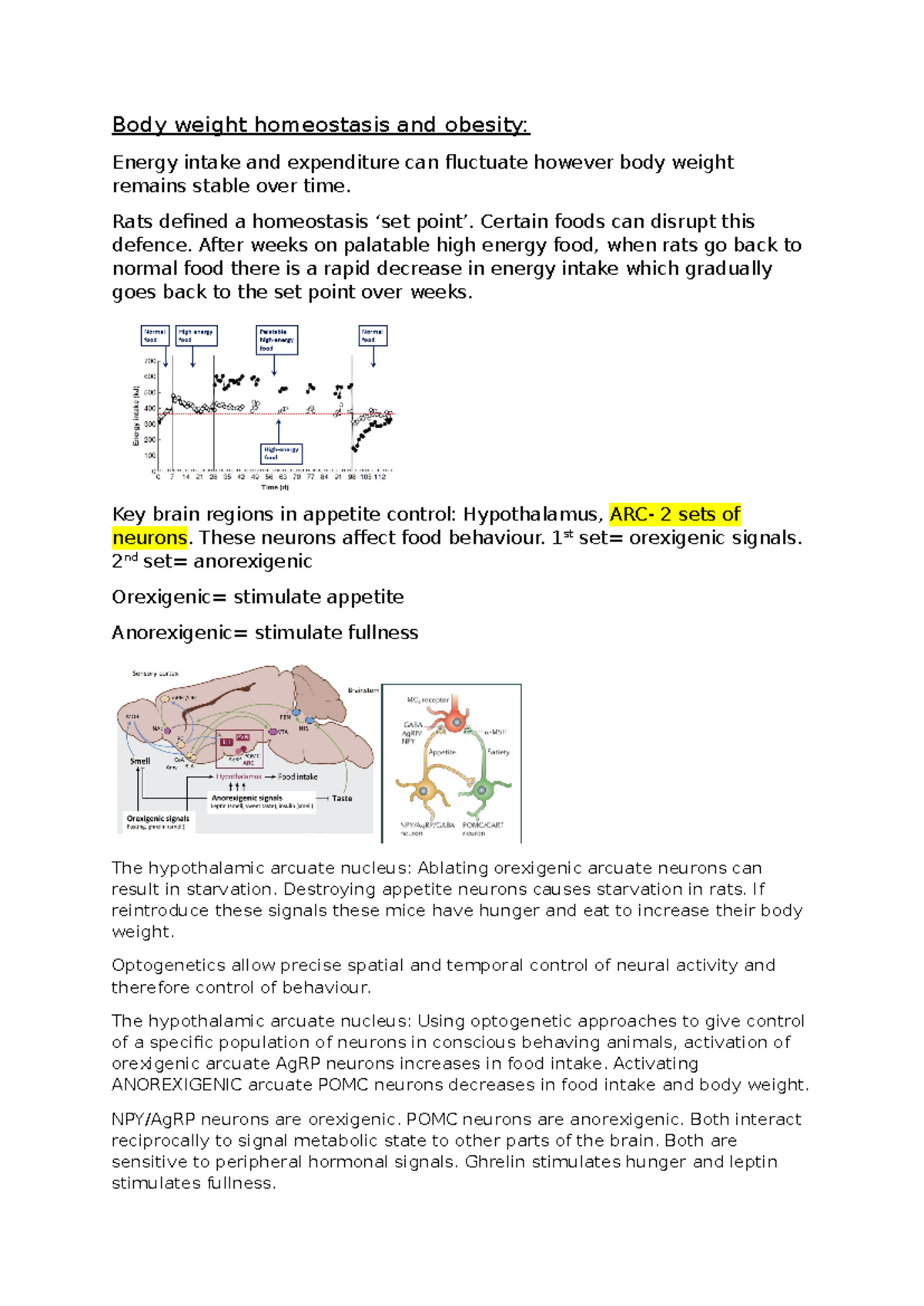 BODY Weight Homeo AND Obesity - Body weight homeostasis and obesity ...