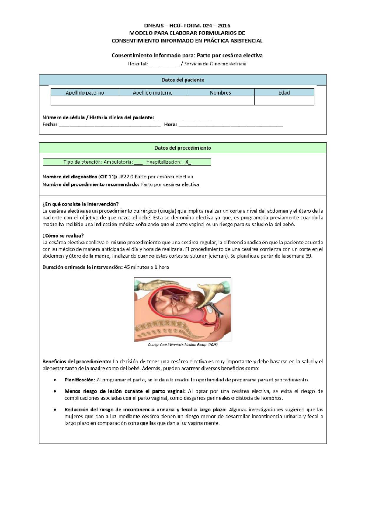 Consentimiento Informado Final para Cesárea Electiva - DNEAIS 024 2016 - Document Preview