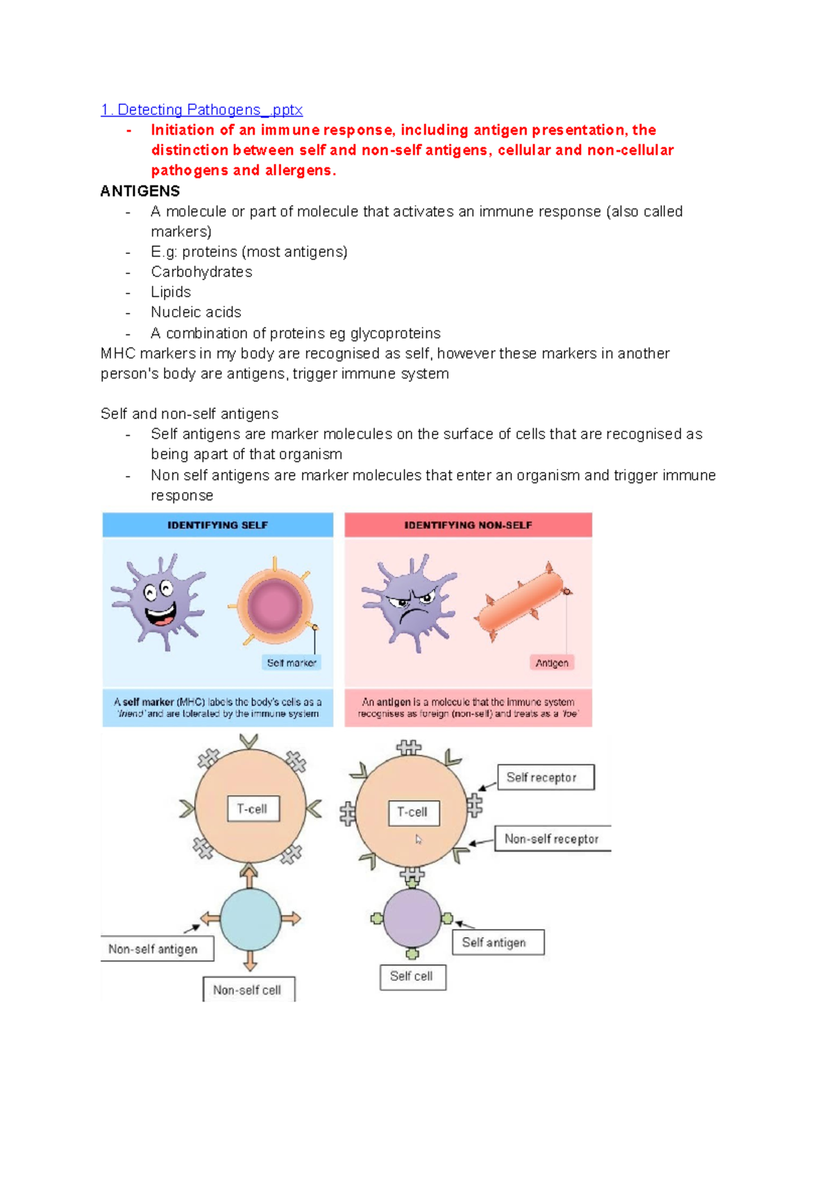 Biology UNIT 4: Detecting Pathogens and Immune Response Insights - Studocu