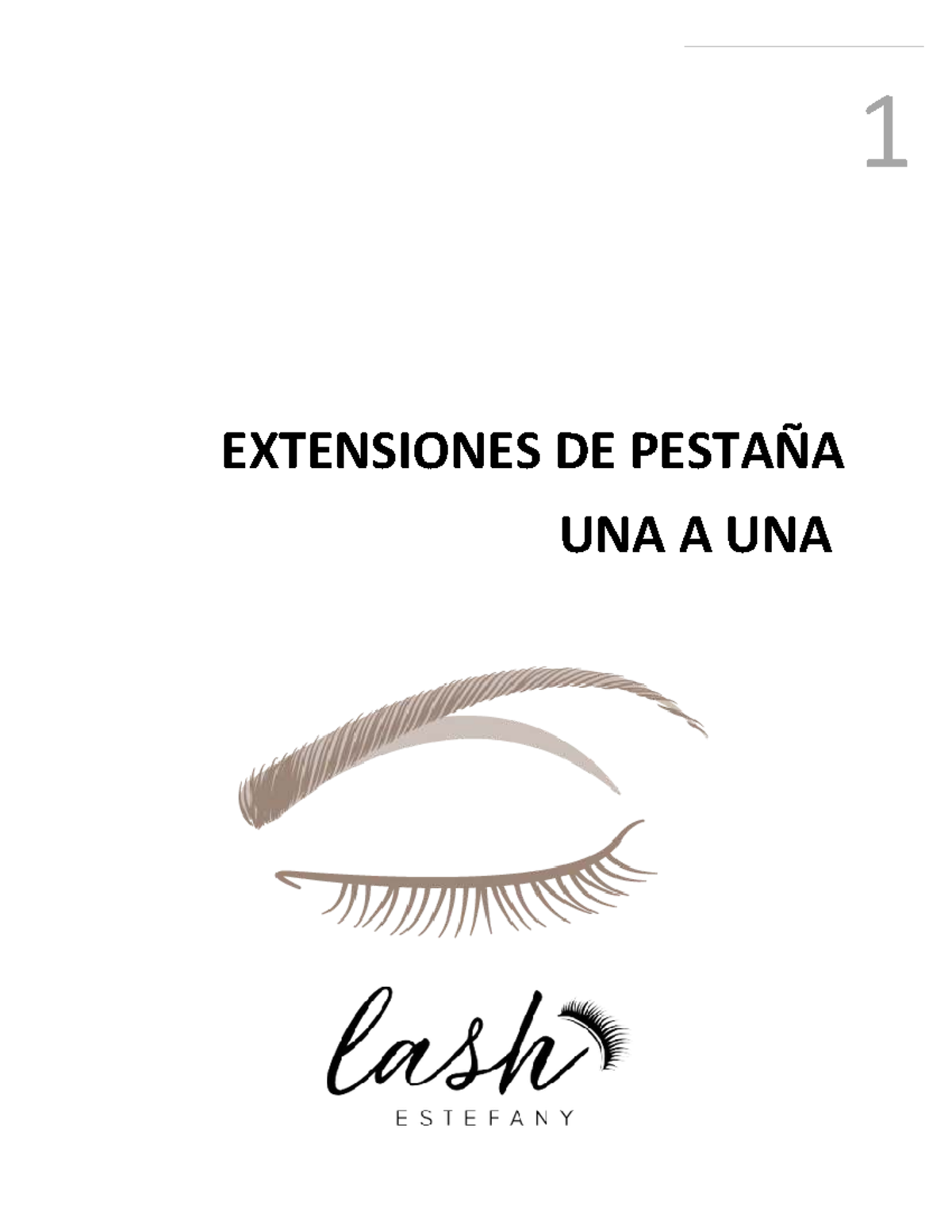 Manual de Extensiones de Pestañas - Curso 1 - Studocu