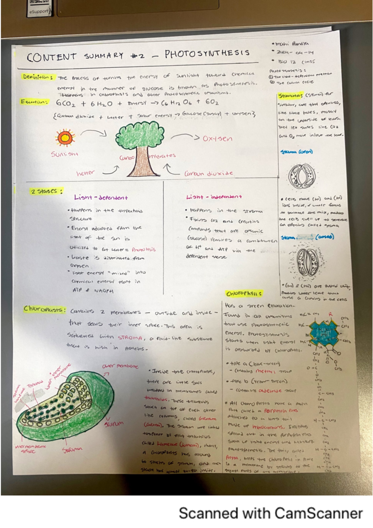 BiO 101: Comprehensive Notes on Photosynthesis Concepts - Studocu