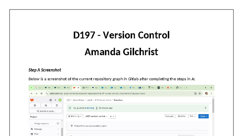D197 - Version Control Step-by-Step Guide with Screenshots - Studocu