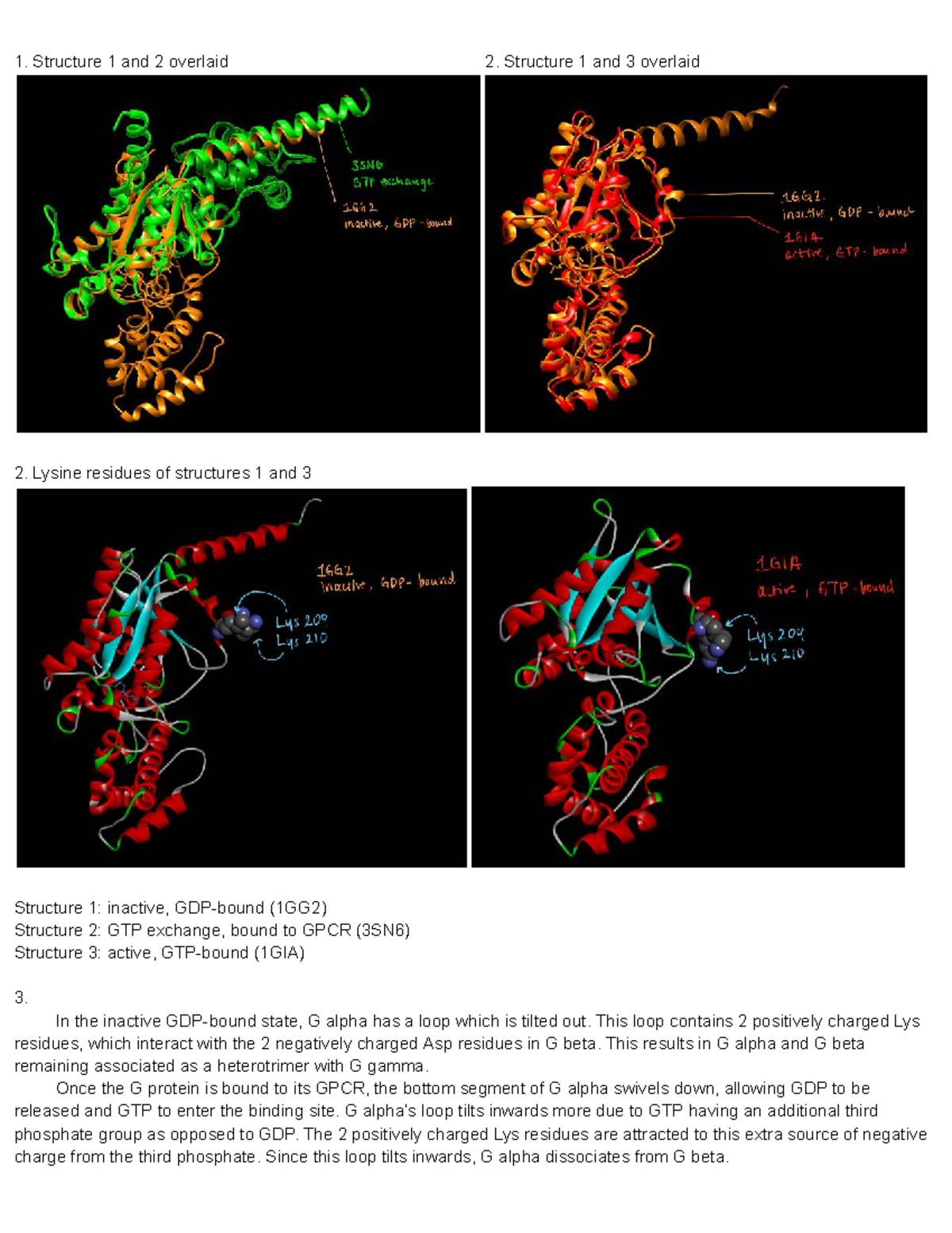 Assignment 5: Analysis of G Protein Structures and Lysine Interactions ...