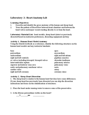 Pathophysiology D236 Worksheets Packet - Pathophysiology D236 ...