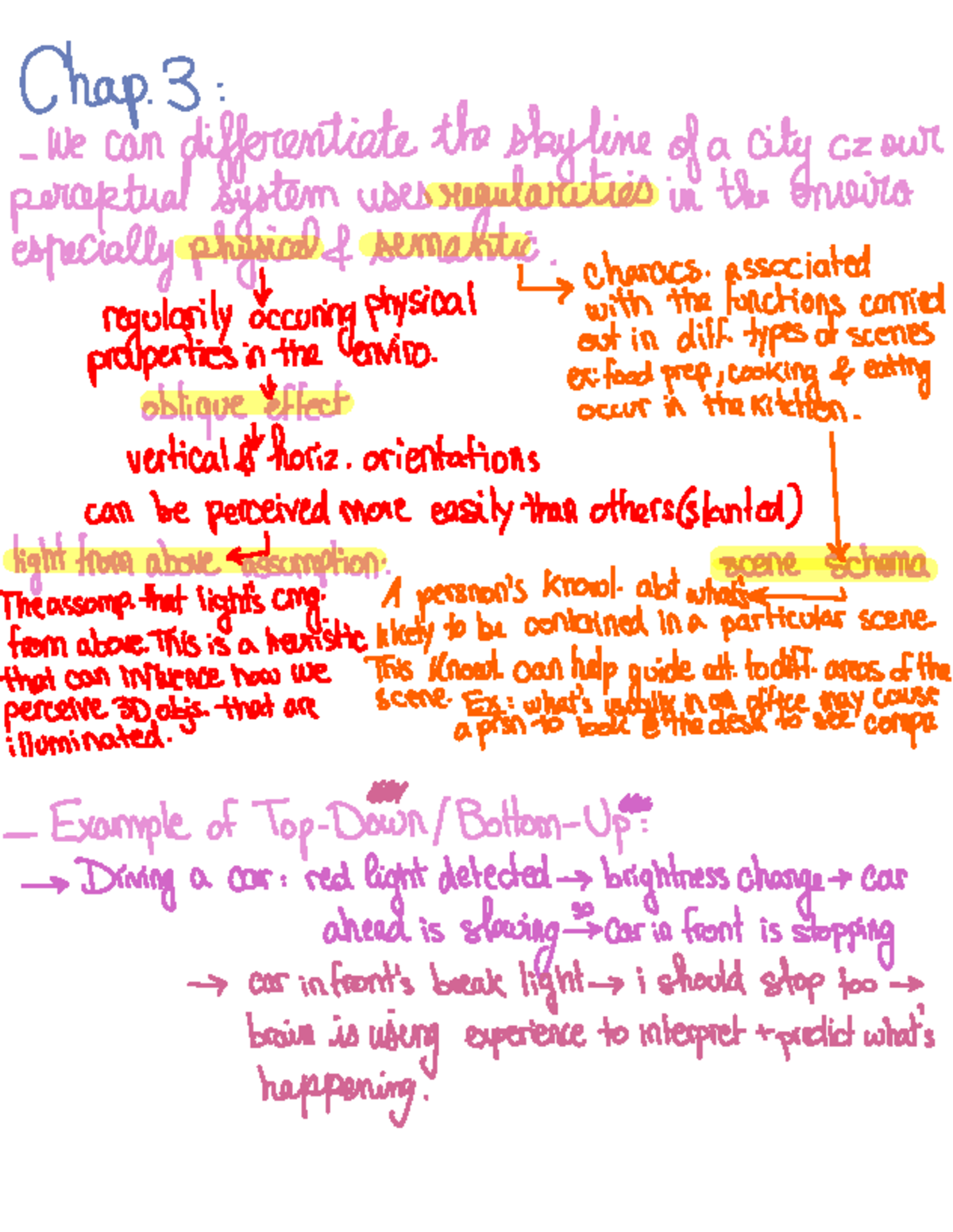 Exam 1 - Summary Notes on Memory Models and Attention - Studocu