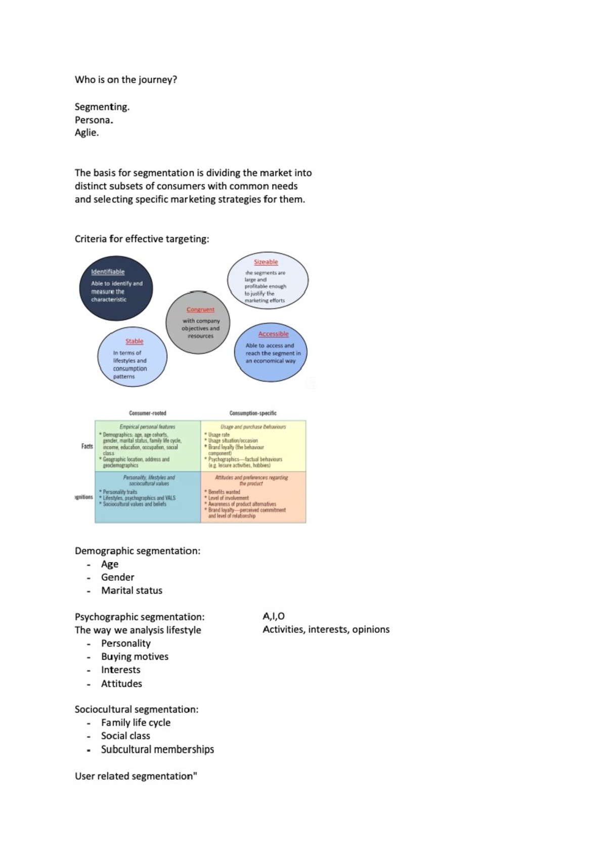 MKT 201 - Week 3 Class Notes on Market Segmentation & Targeting - Studocu