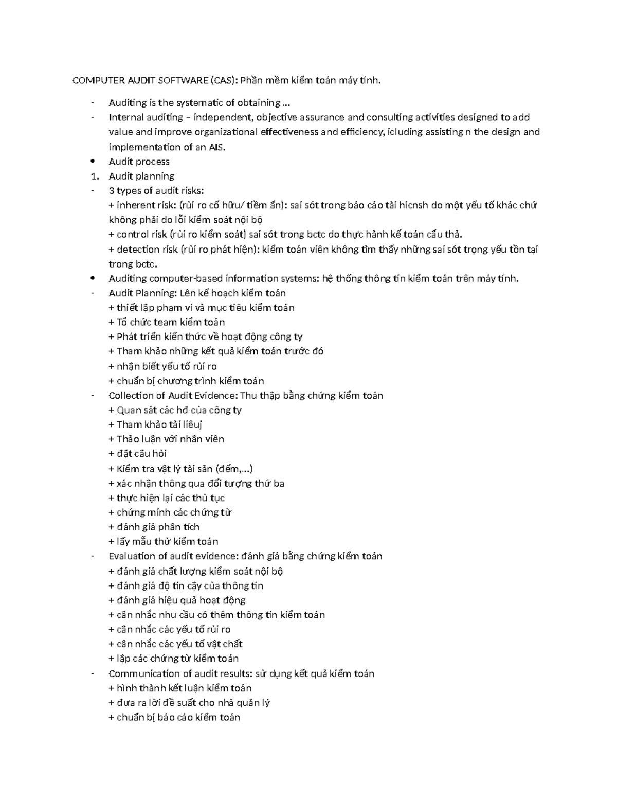 COMPUTER AUDIT SOFTWARE (CAS): Overview and Audit Process Guide - Studocu