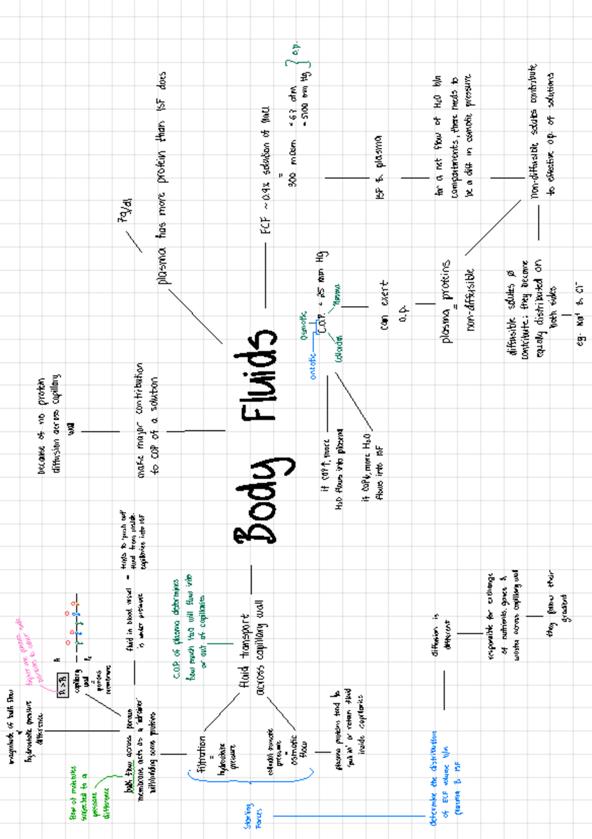 Body Fluids Notes for Course E: Comprehensive Study Guide - Studocu