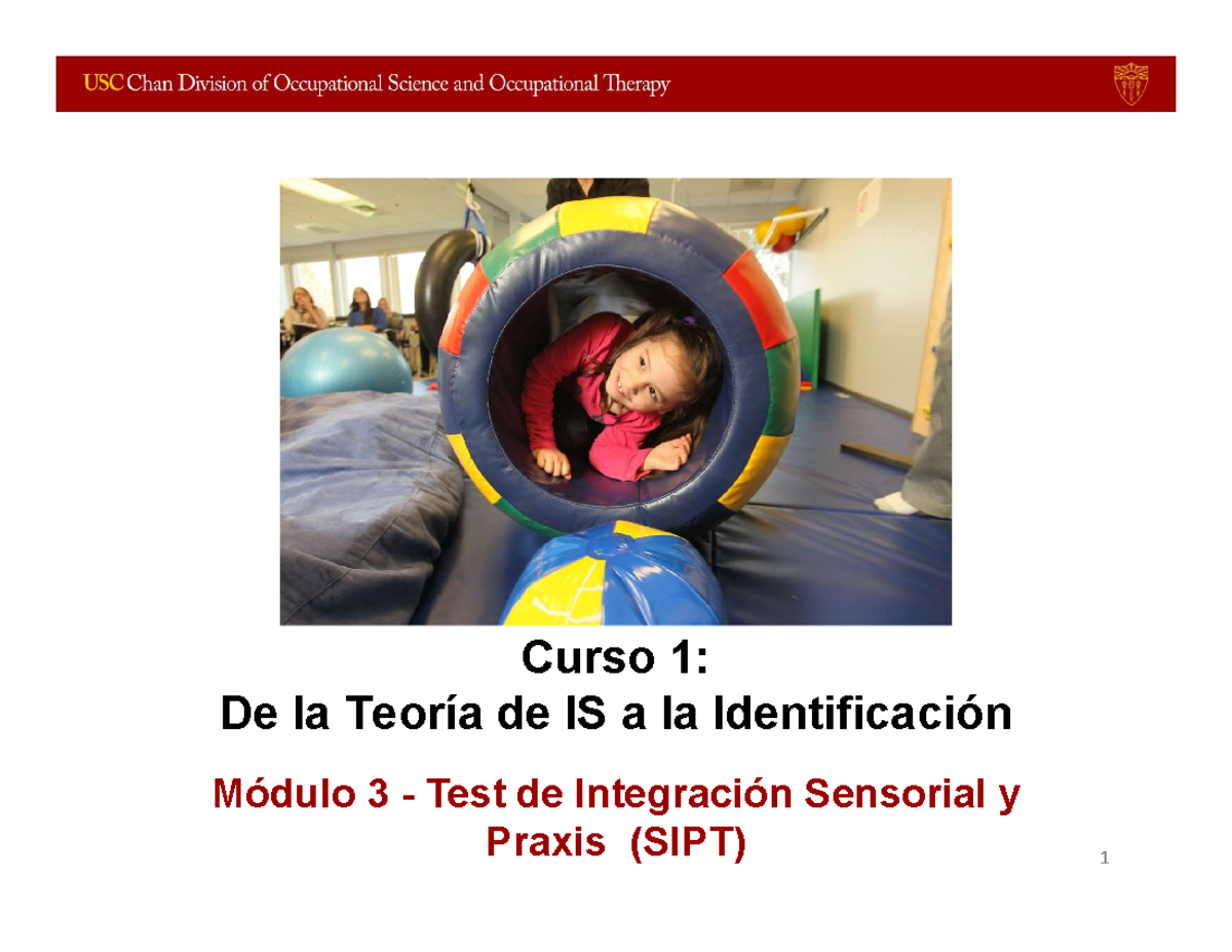 Curso 1: Módulo 3 - Test de Integración Sensorial y Praxis (SIPT) - Studocu