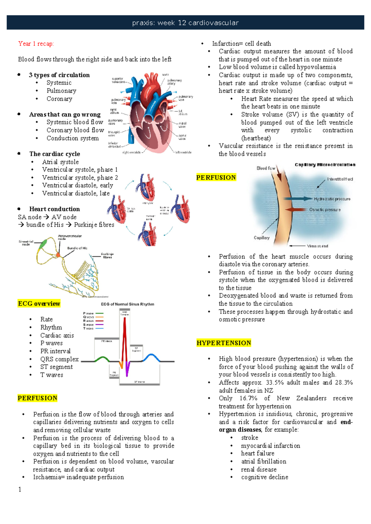 Praxis: Week 12 Cardiovascular Lecture Notes Recap - Studocu