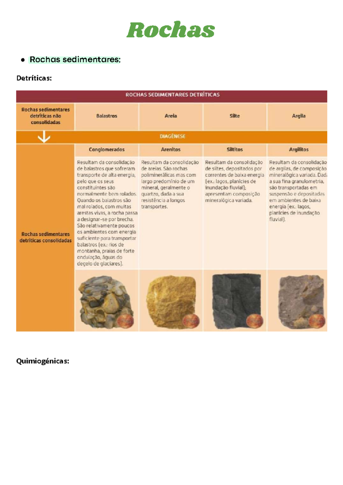 Rochas Importantes: Tipos e Texturas de Rochas Sedimentares e ...