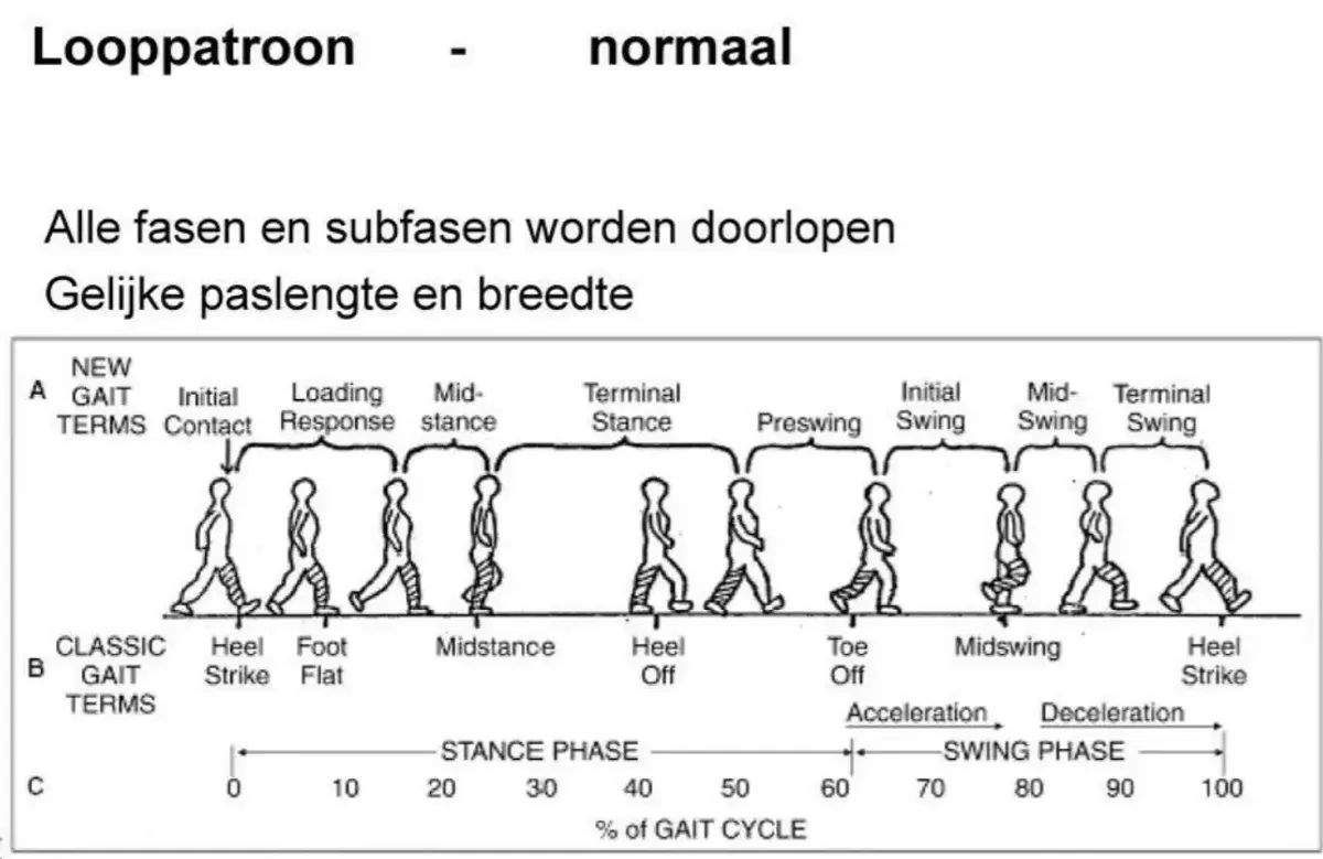 HC 3: Loopstoornissen - Definitie, Analyse en Behandelopties - Studeersnel