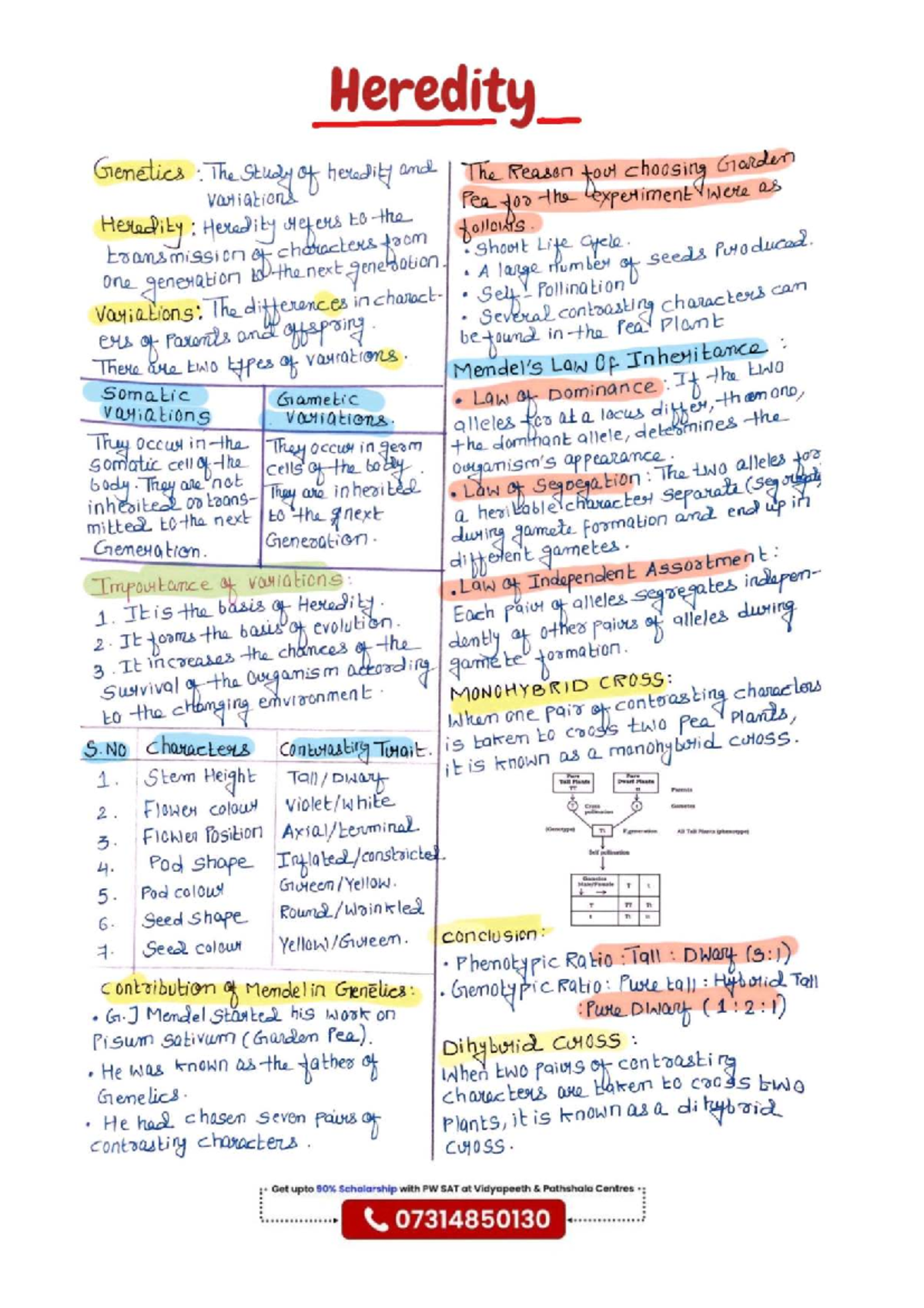 Heredity Notes for Genetics 2CM - Key Concepts and Mendel's Work - Studocu