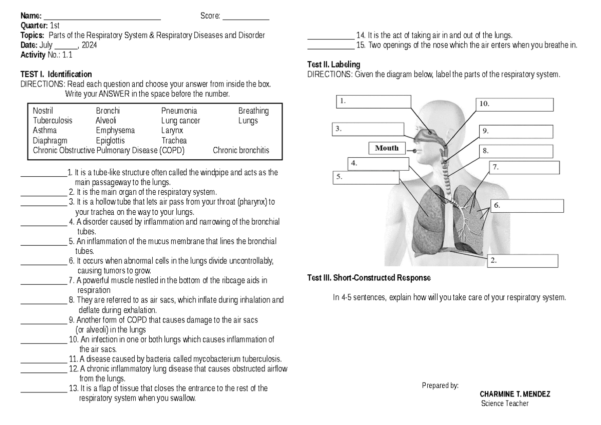1.1a QUIZ #1 - Quiz about respiratory system - Nostril Bronchi ...