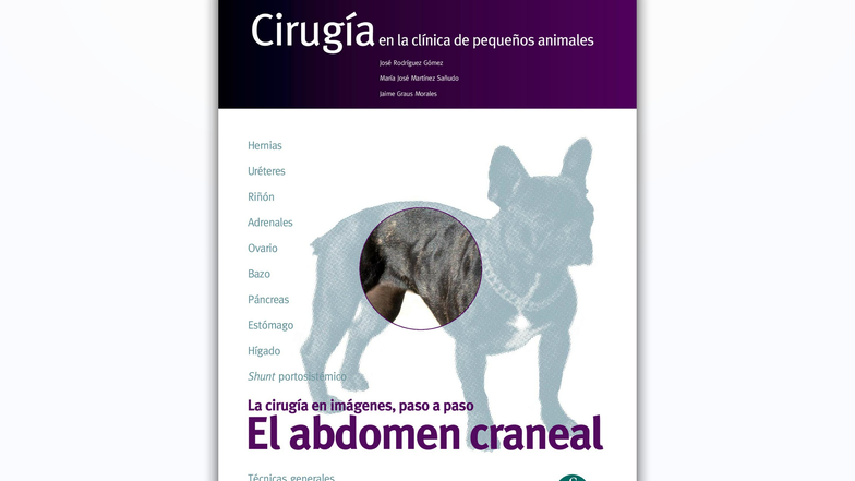 Cirugia en la clínica de pequeños animales El abdomen craneal Servet - Document Preview