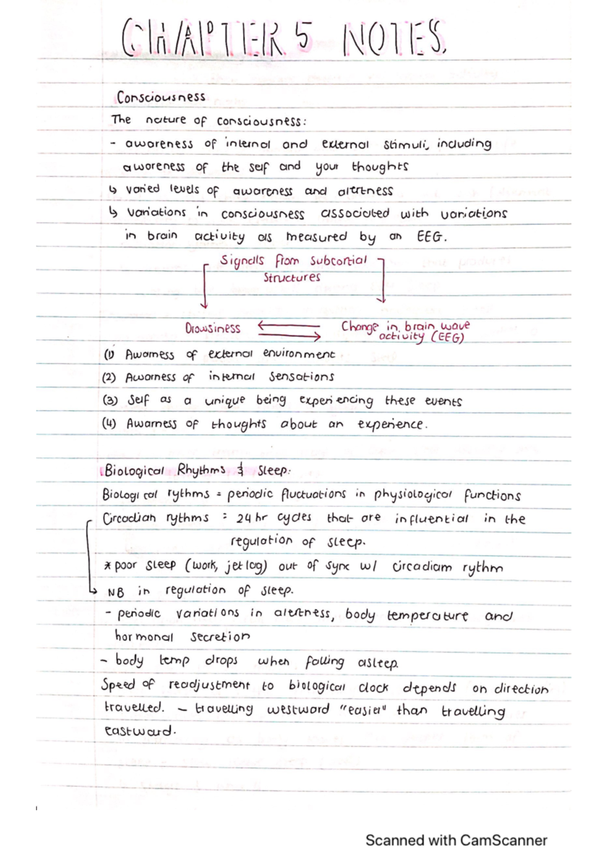 SLK 120 Chapter 5 Study Notes and Key Concepts - Studocu