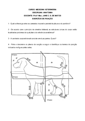 [Solved] O sistema linftico dos animais domsticos possui a funo de ...