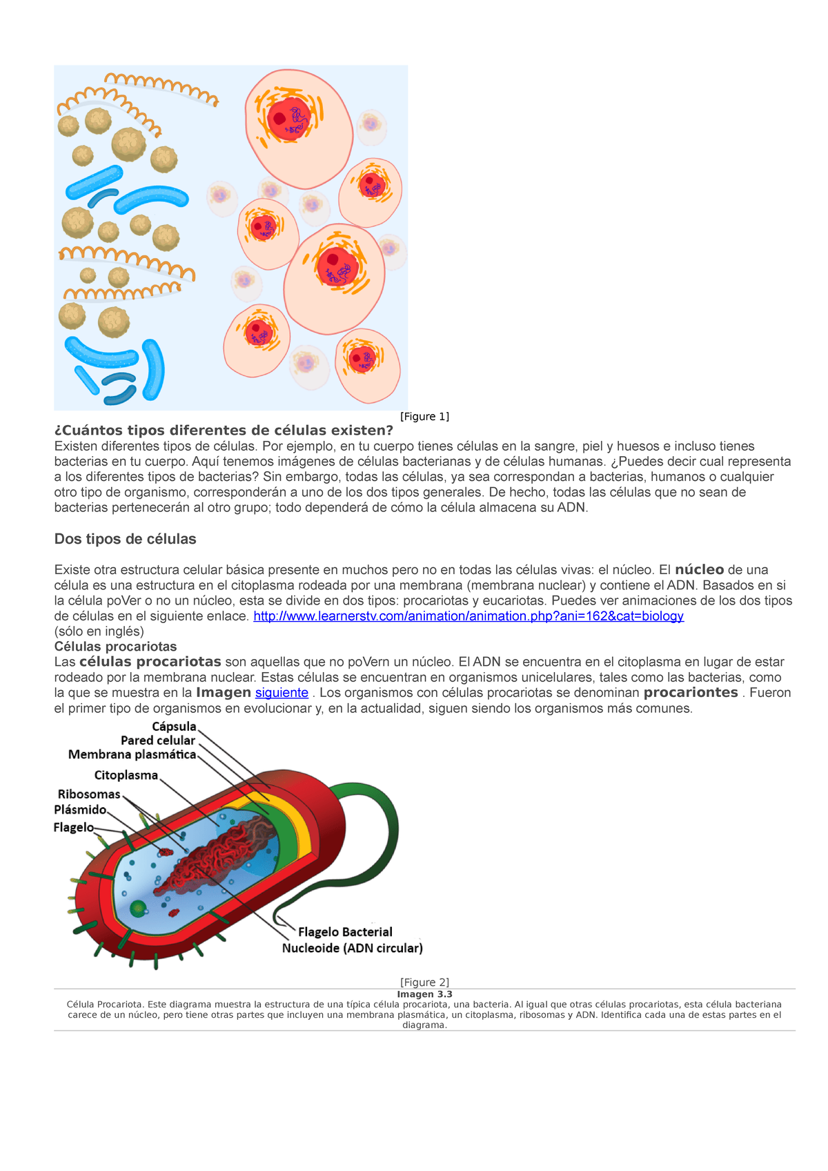 Procariotas y eucariotas - [Figure 1] ¿Cuántos tipos diferentes de ...