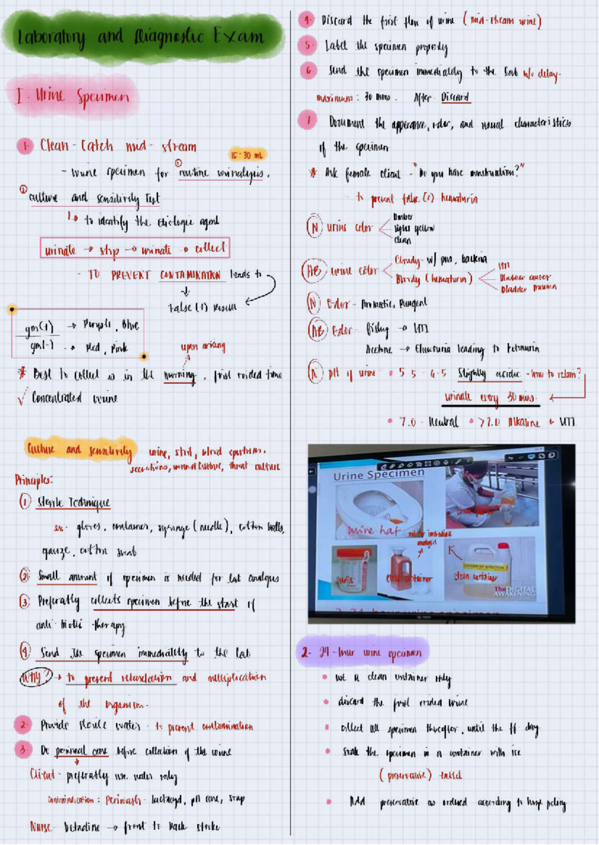 LAB & Diagnostic Exams: Urine and Sputum Collection Guidelines - Studocu