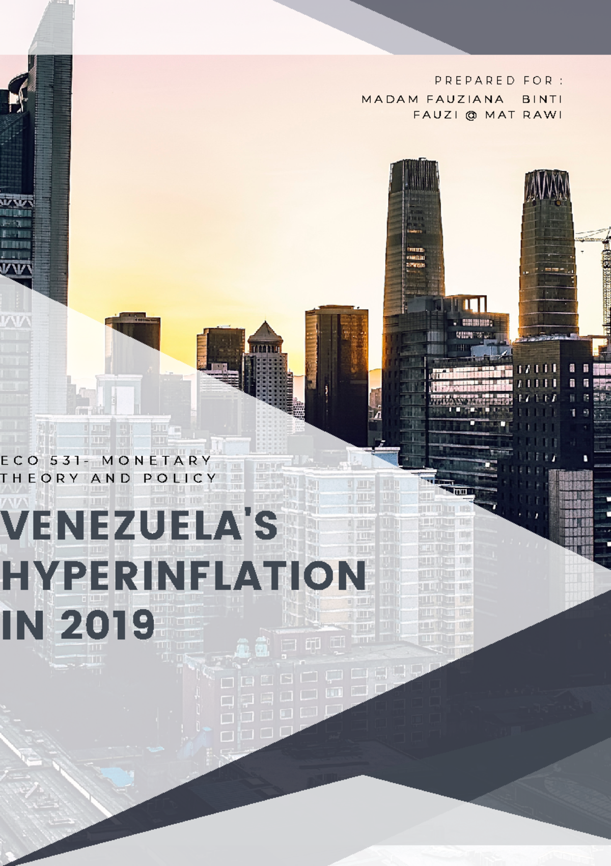 ECO 531 BA2422F Group Assignment: Hyperinflation in Venezuela (2019 ...