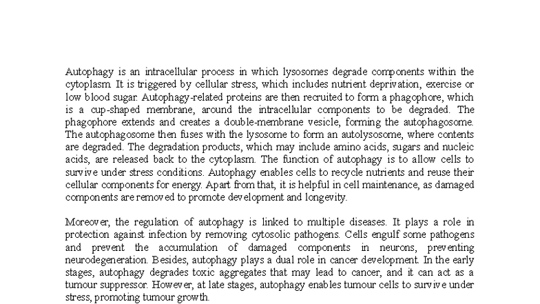 Autophagy: Key Mechanisms and Implications in Health and Disease - Studocu