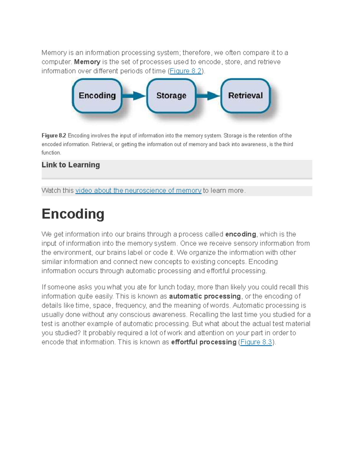 Memory Processes and Errors: Strategies for Recall and Forgetting ...