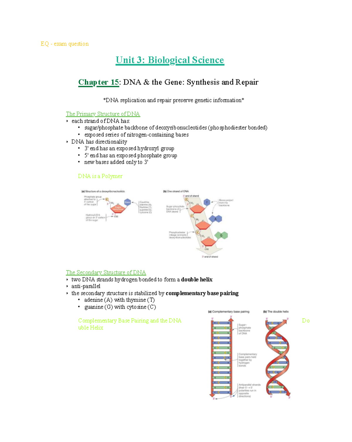 DNA Synthesis and Replication: Key Concepts and Mechanisms (BIO101 ...