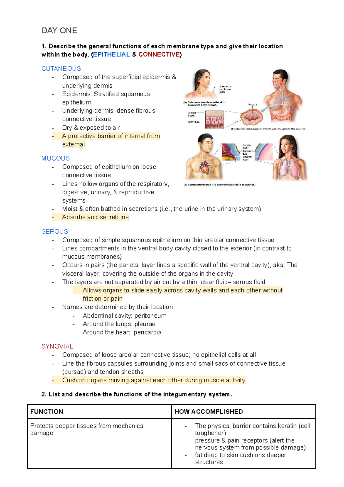 Weekly Learning Outcomes for Anatomy &amp; Physiology (Course Code: A&amp;P 101) - Studocu