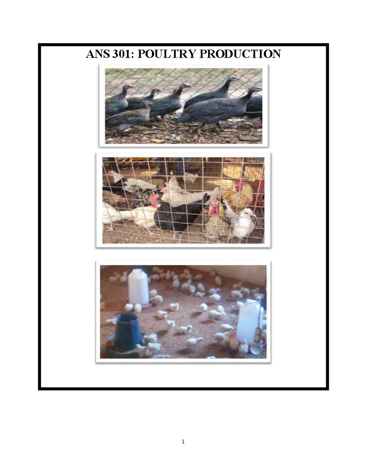 ANS 301: Lecture Notes on Poultry Production Fundamentals - Studocu