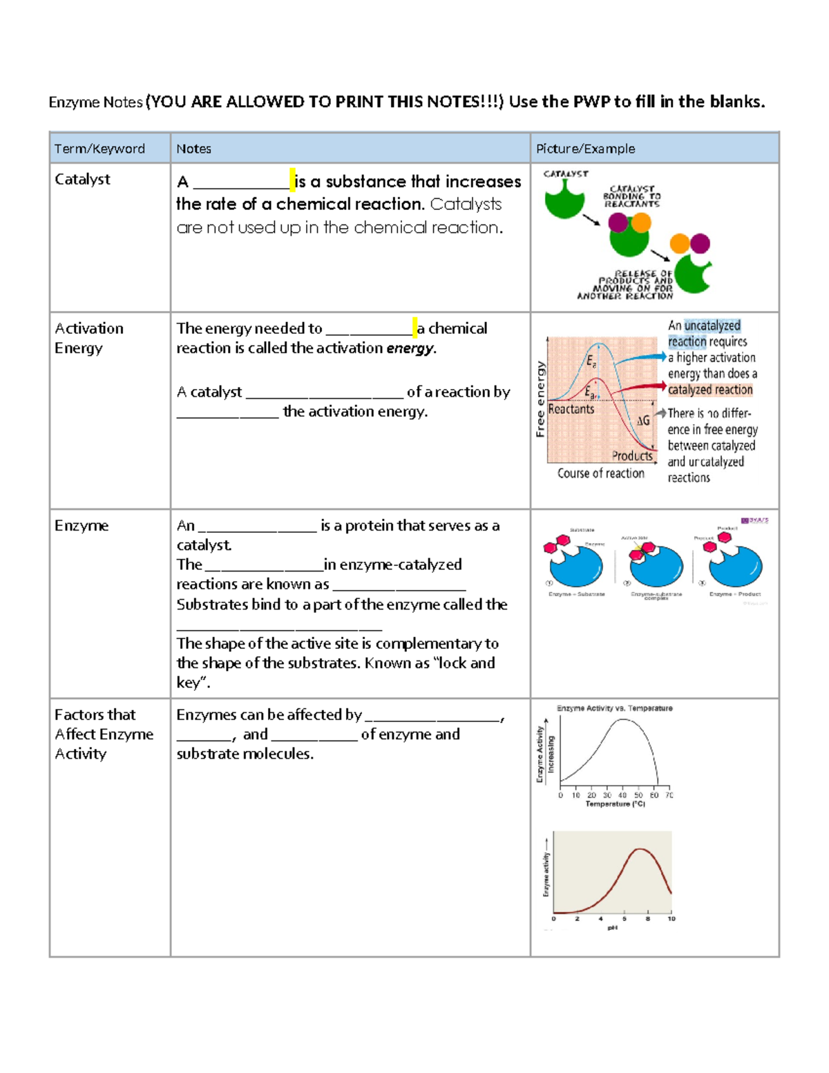 Enzyme Notes - Term/Keyword Notes Picture/Example Catalyst A ...