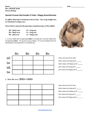 Biology Review Sheet: Chapter 21 - Protists and Fungi - Studocu