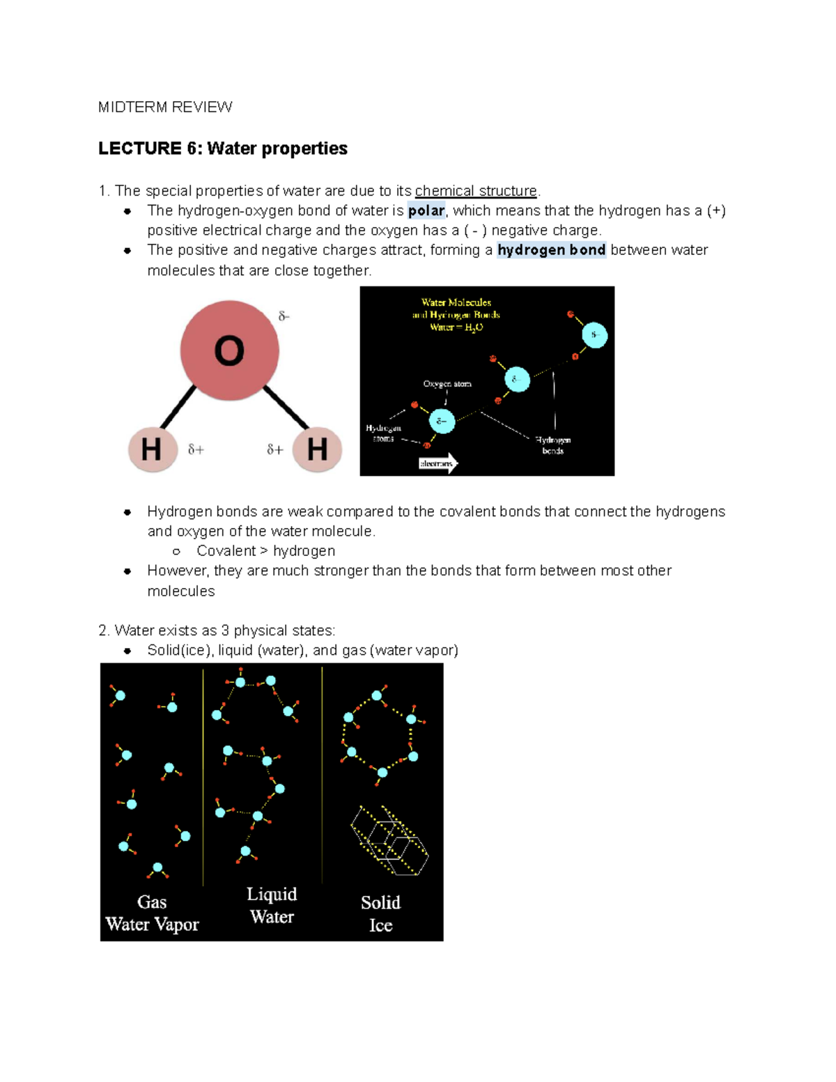 MIDTERM REVIEW LECTURE 6: Properties of Water - Studocu