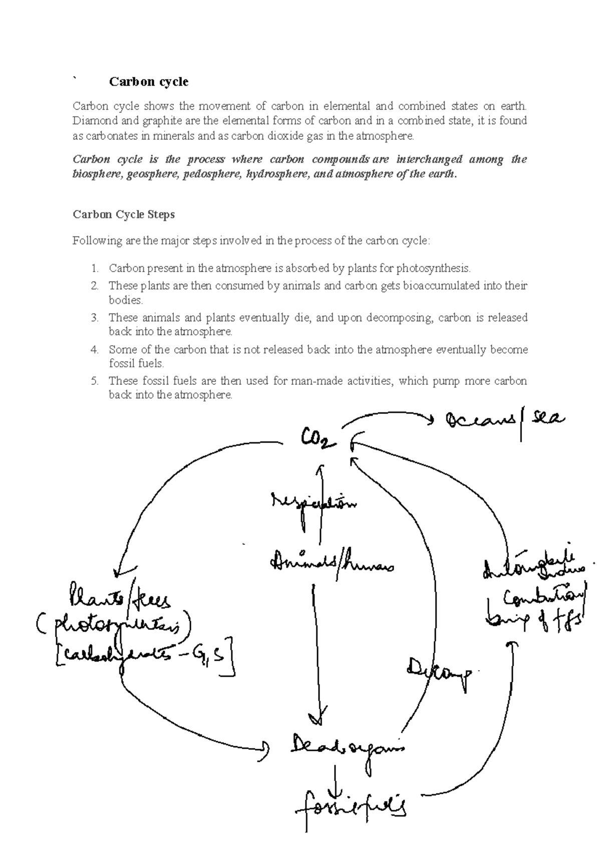 Carbon Cycle Overview: Processes and Steps Explained - Studocu