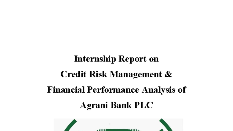 Internship Report: Credit Risk Management & Financial Performance ...