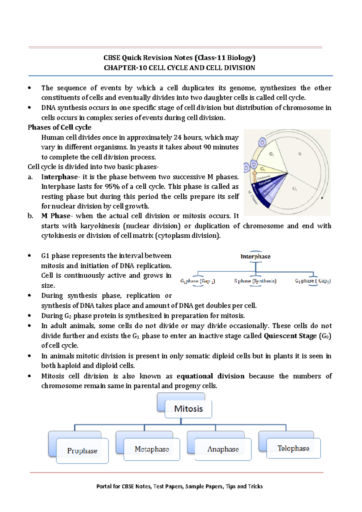 11 Biology Notes: Chapter 10 - Cell Cycle & Cell Division Overview ...