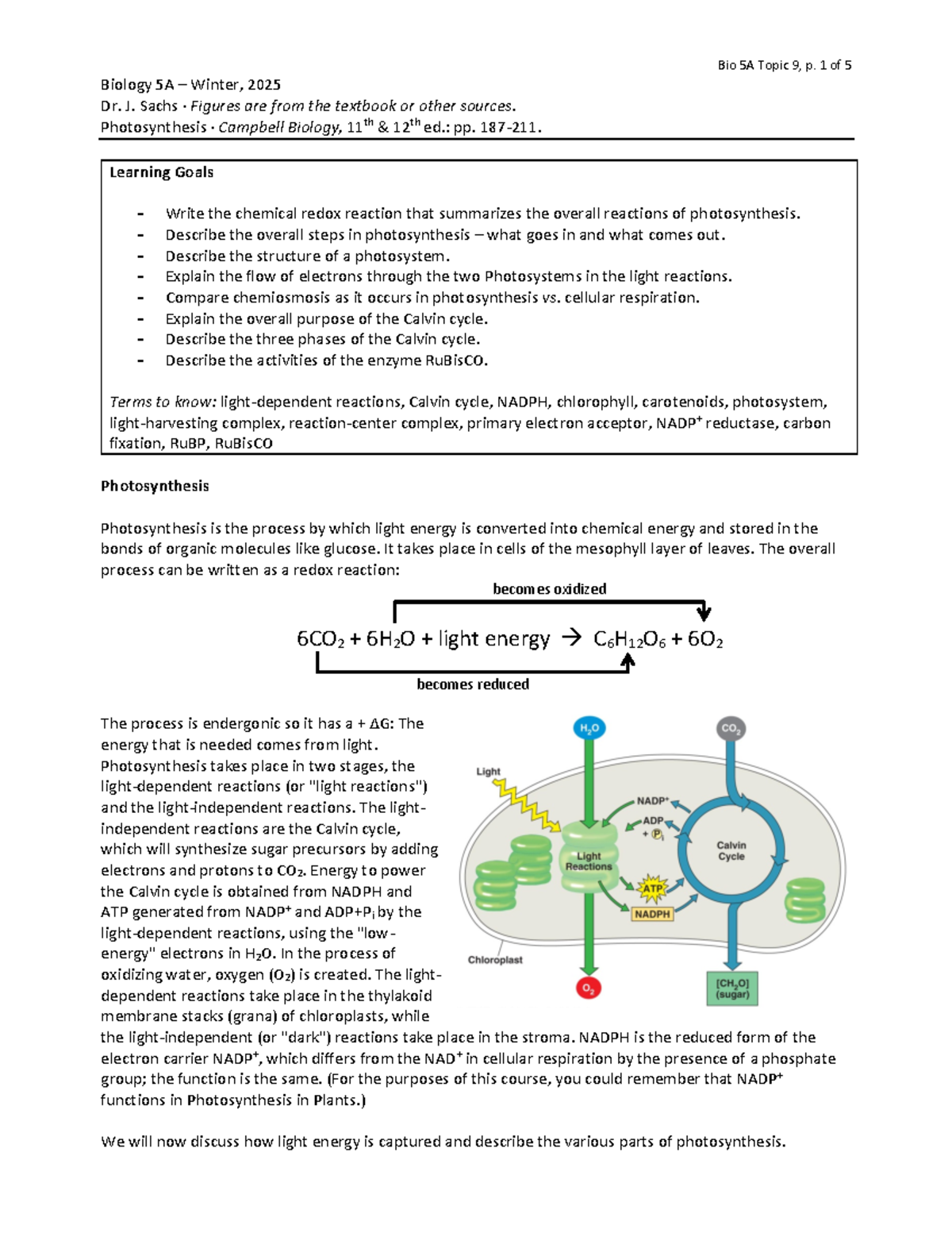 Photosynthesis Overview and Calvin Cycle Details - Bio 5A Topic 9 ...