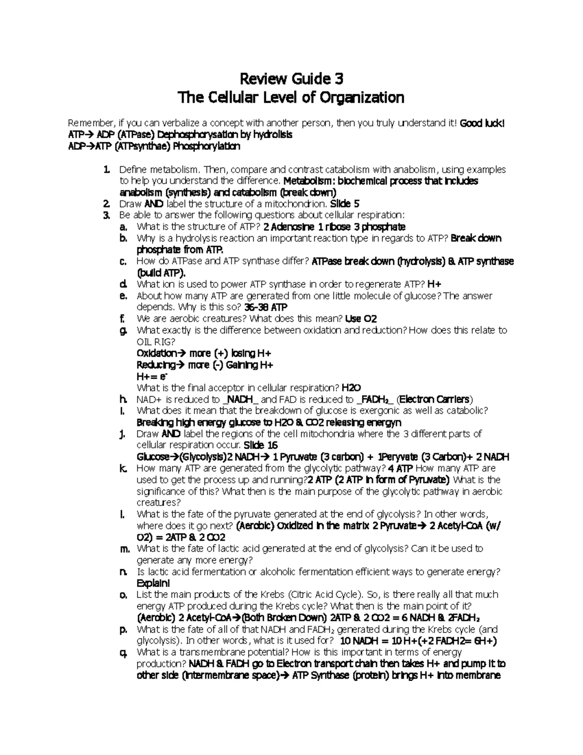 Lymphatic System Final Exam Study Guide (BIO 101) - Studocu
