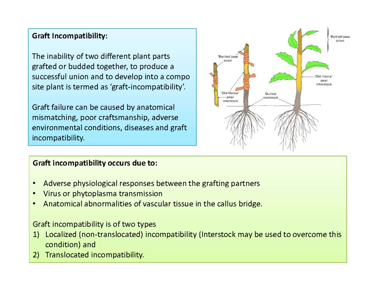 Stock-Scion Incompatibility: Understanding Graft Failure Causes - Studocu