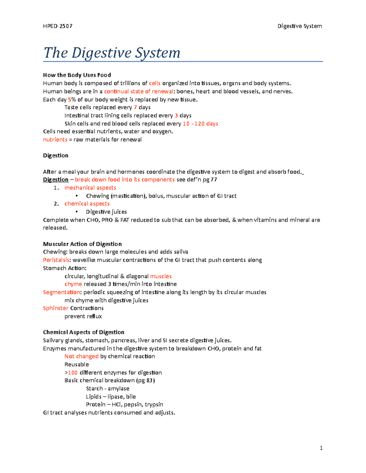 Digestive System - notes - HPED 2507 Digestive System The Digestive ...
