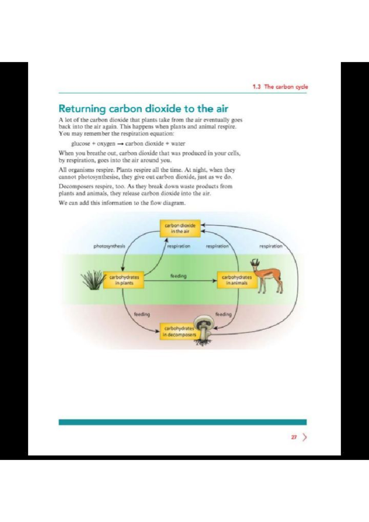 1.3 The Carbon Cycle and Photosynthesis: Key Concepts and Equations ...