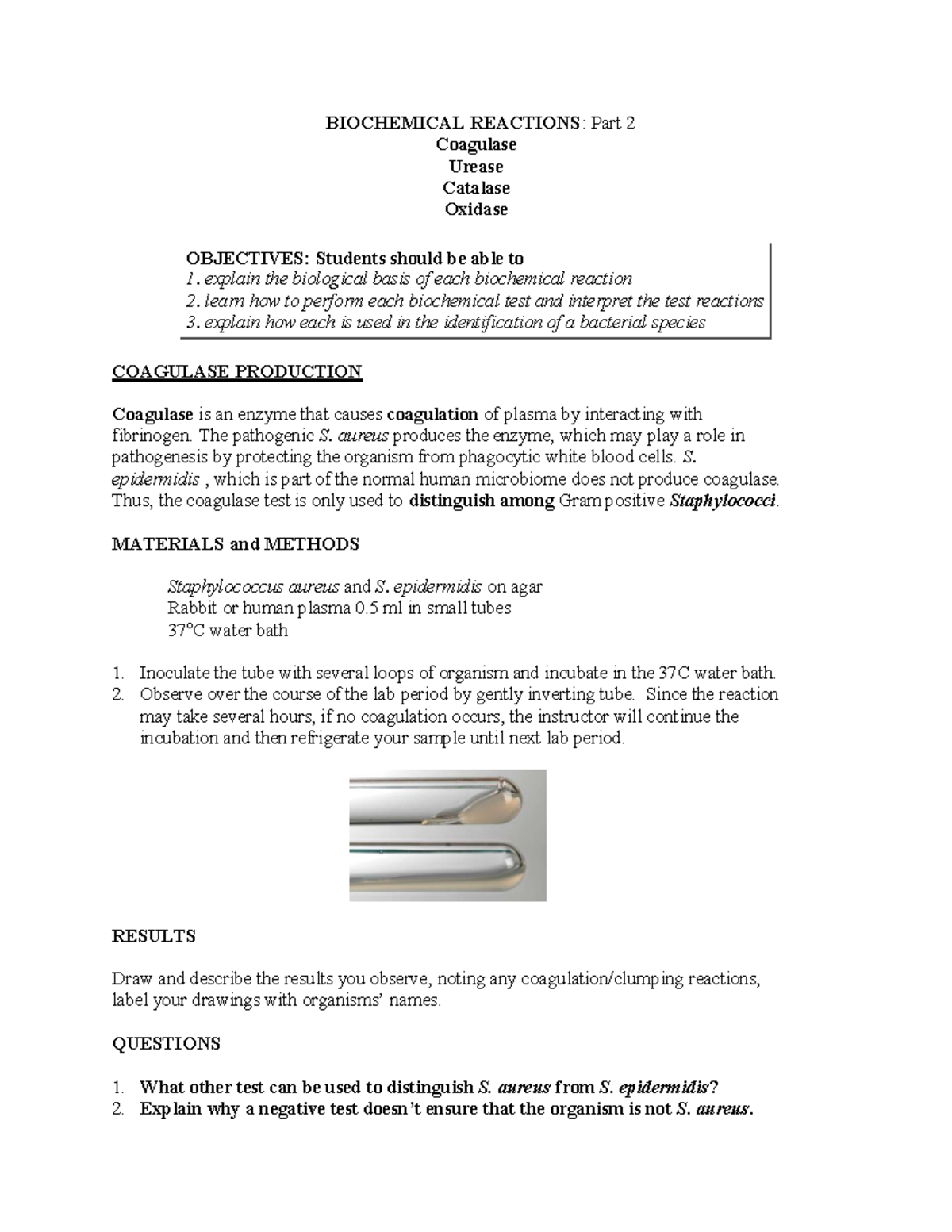 Biochemical Tests: Coagulase, Urease, Catalase & Oxidase Analysis (BIO ...