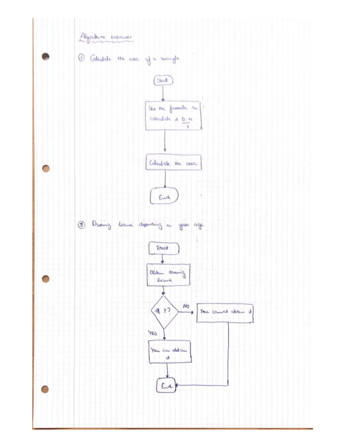 Algorithms 1 - Area Calculation and License Eligibility Guide - Studocu