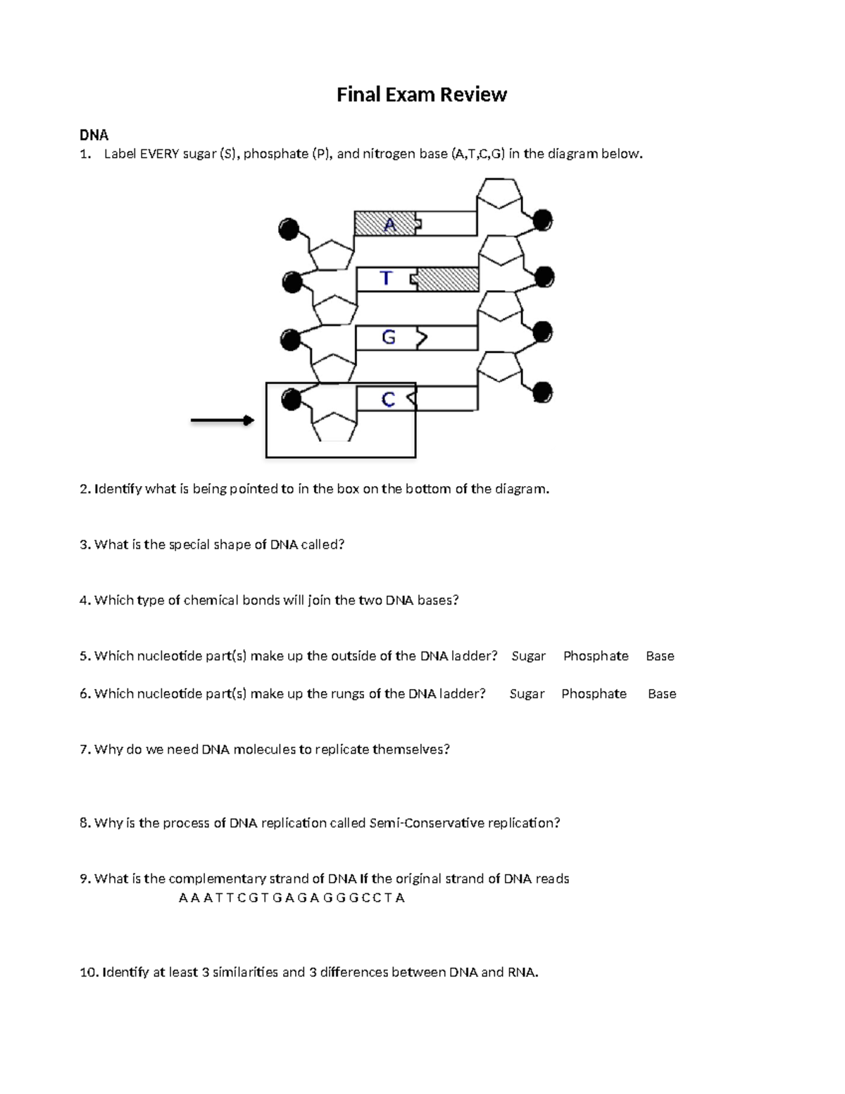 Honors+Bio+final+exam+review+2019 - Final Exam Review DNA Label EVERY ...