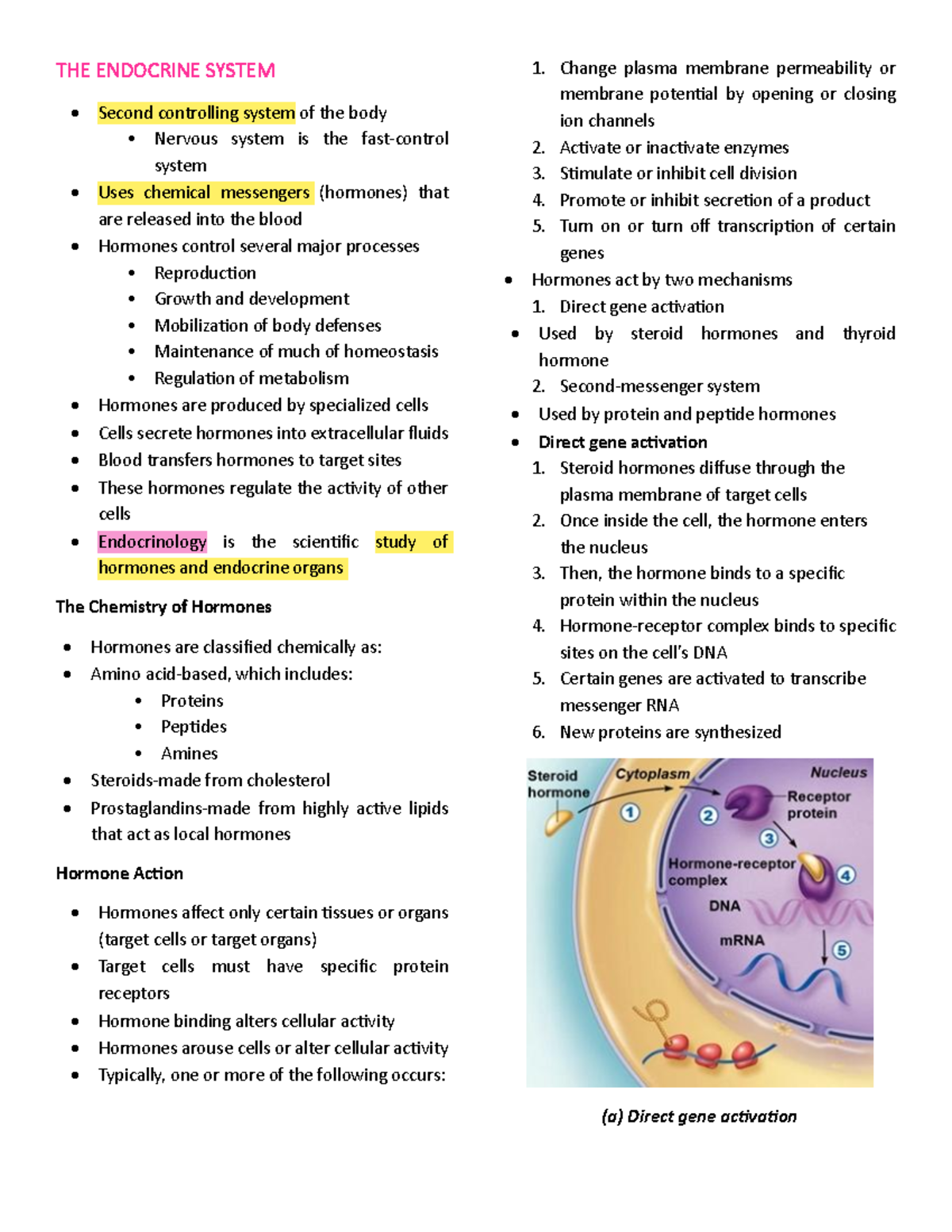Endocrine System Overview: Key Concepts and Hormonal Functions - Studocu