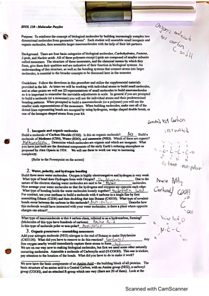 Biol 130 Lab Anatomical Evidence Of Evol - Period Regents Biology Date ...