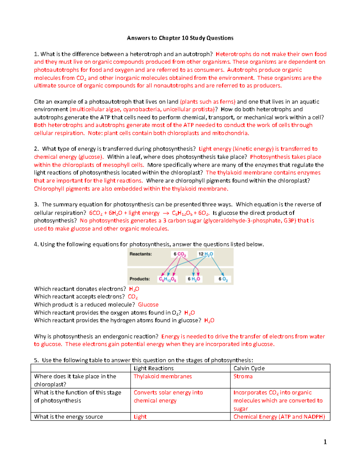 Chapter 10 Study Guide Answers - Answers to Chapter 10 Study Questions ...