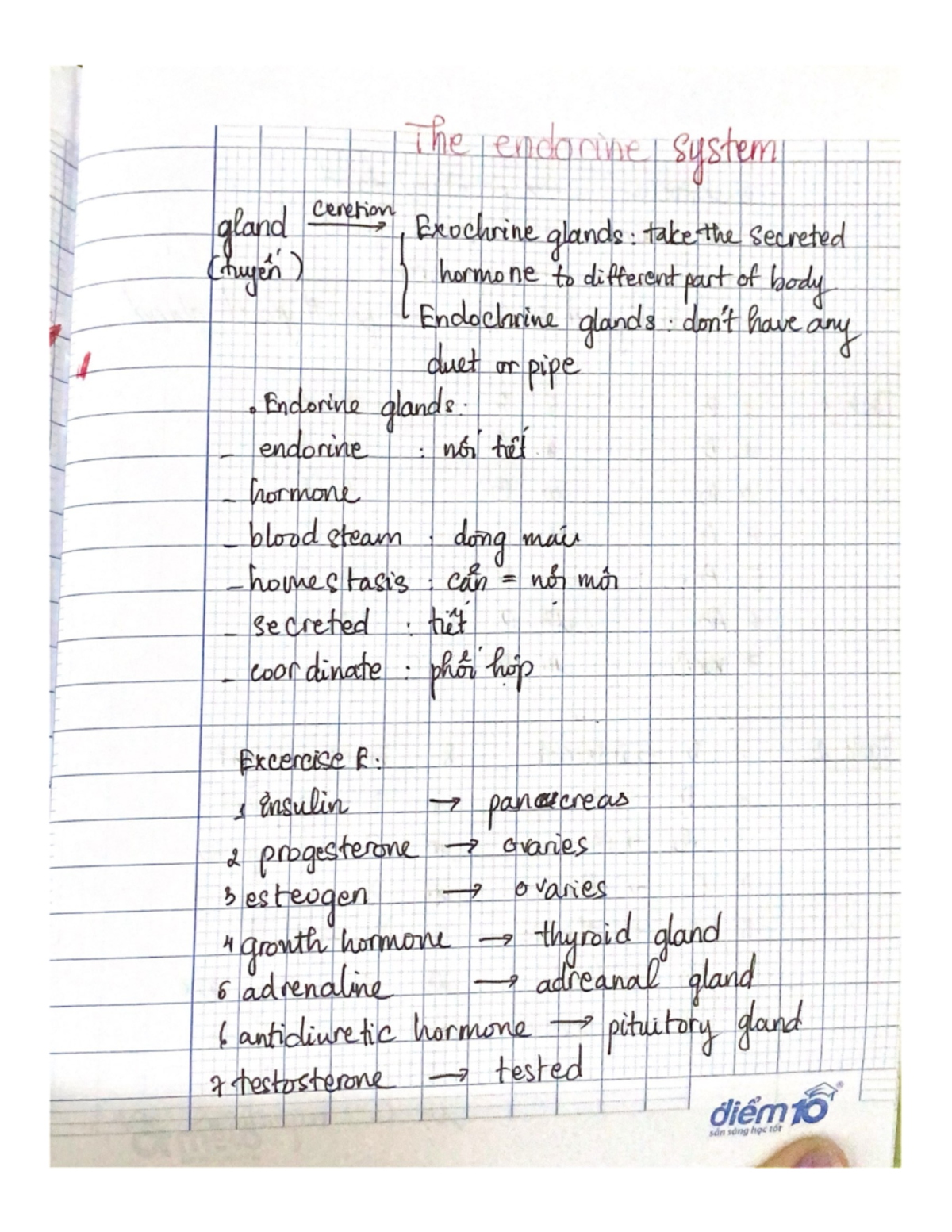Chapter: The Nervous System Overview and Function - Studocu