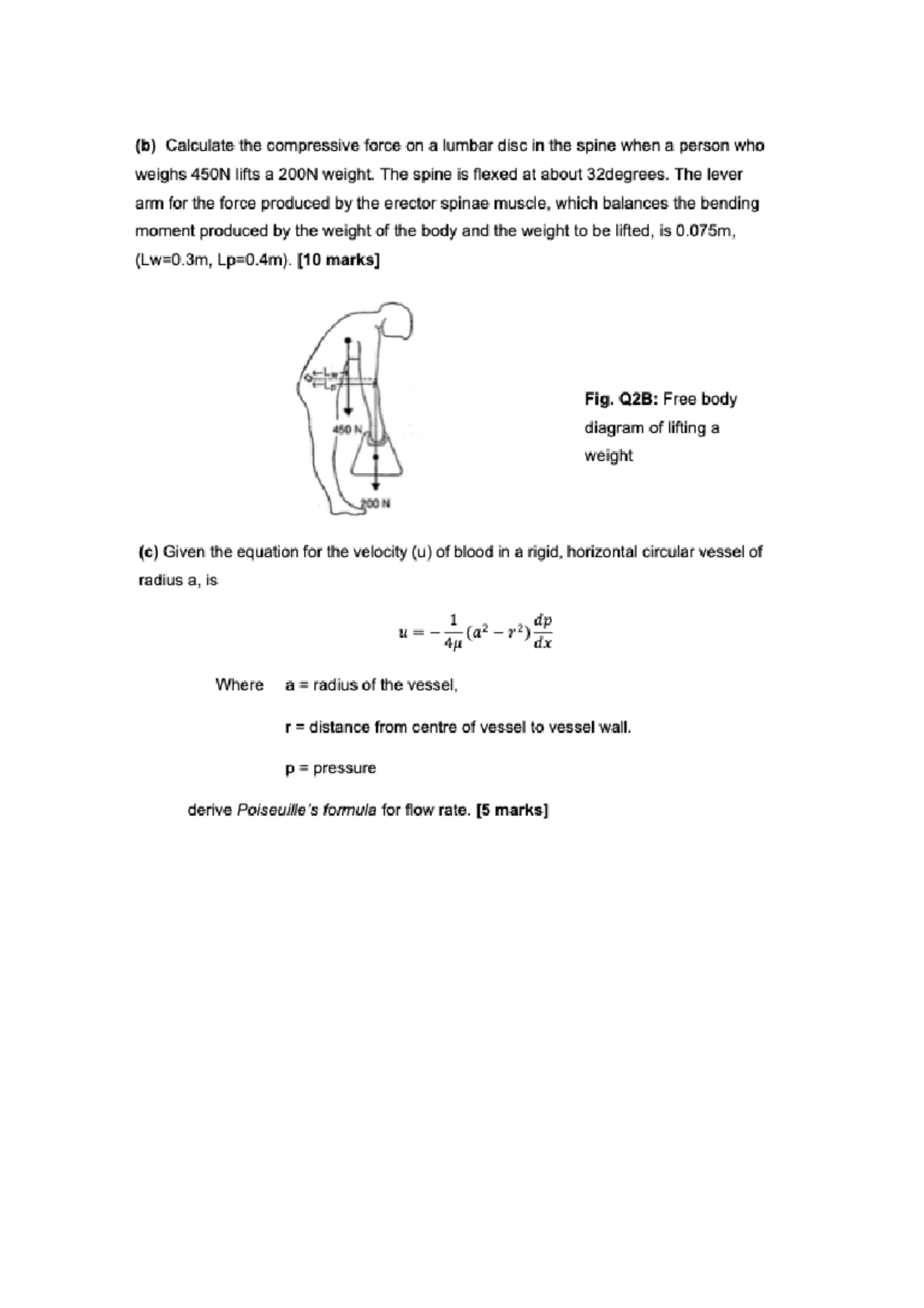 Biomechanics Exam Questions - XXII FU EF OF AFAE FRAE - Studocu