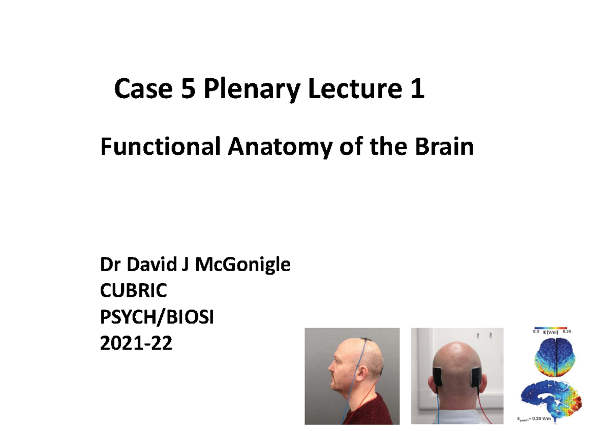 CUBRIC A Case Study: Functional Anatomy of the Brain Lecture 1 - Studocu